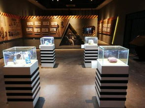 展會展廳裝修設計展示設備制作工廠加工